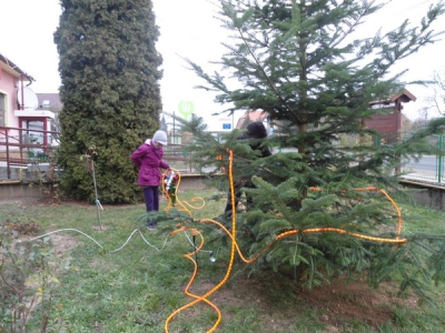 Karácsonyfa állítás és díszités 2011_19